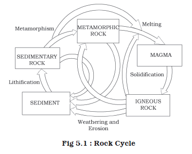 Classification of Rocks and Rock Cycle : Other State Exams