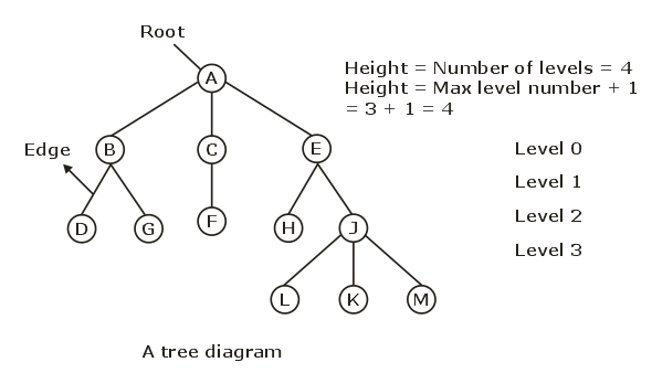 Study notes for Trees : GATE & PSU CS