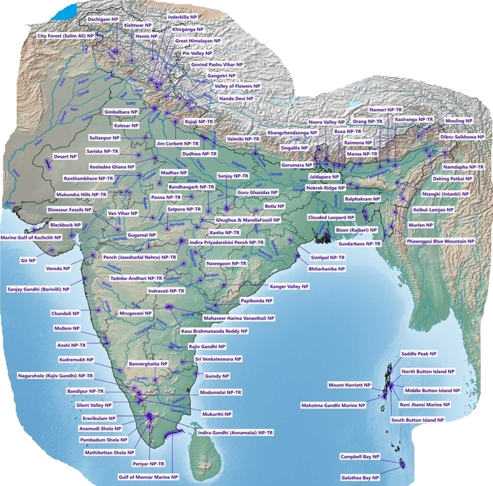 national-parks-in-india-important-national-parks-in-india-2022