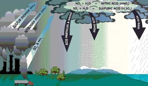 what-is-acid-rain-know-its-causes-effects-solutions-full-notes-upsc-exams