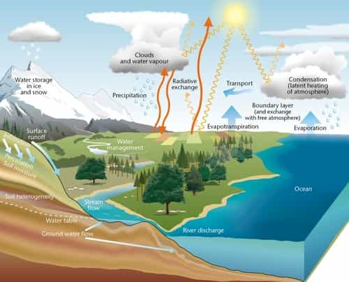 What Steps Of The Water Cycle Cause Rain Weather