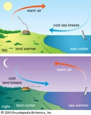 UPSC Geography Notes: Types Of Winds