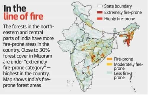 Forest Fires Types Causes And Effects Preventive Measures 8983