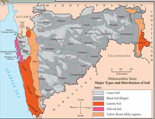 places where alluvial soil is found in india