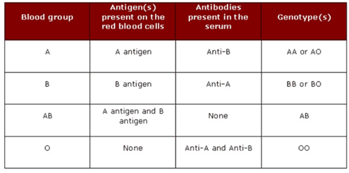 ABO Full Form: in Medical, Blood Grouping System, ABO Test, Incompatibility