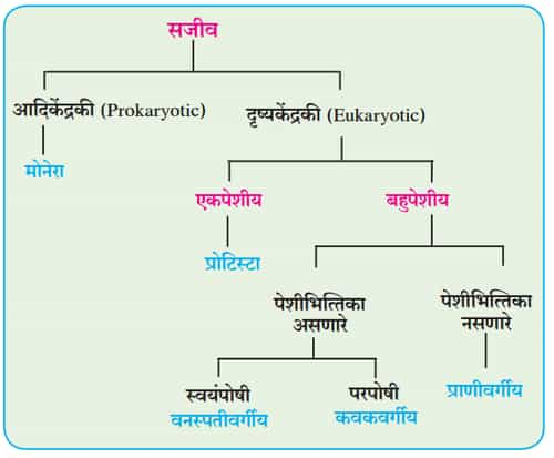 classification-of-plants-in-marathi-download-pdf